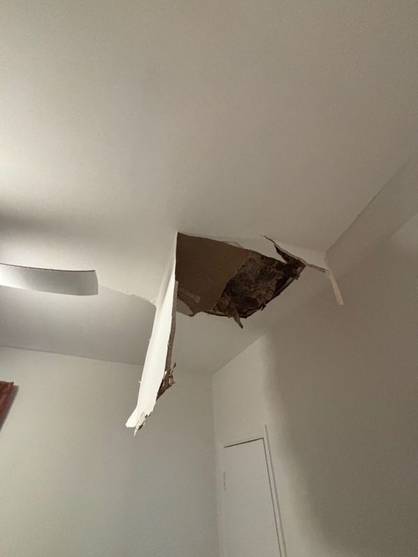 Harper Special Services