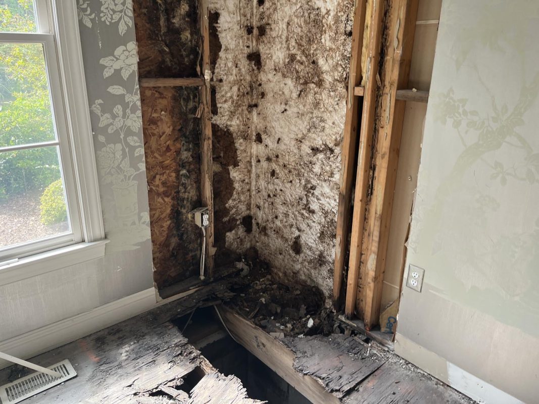 Harper Special Services