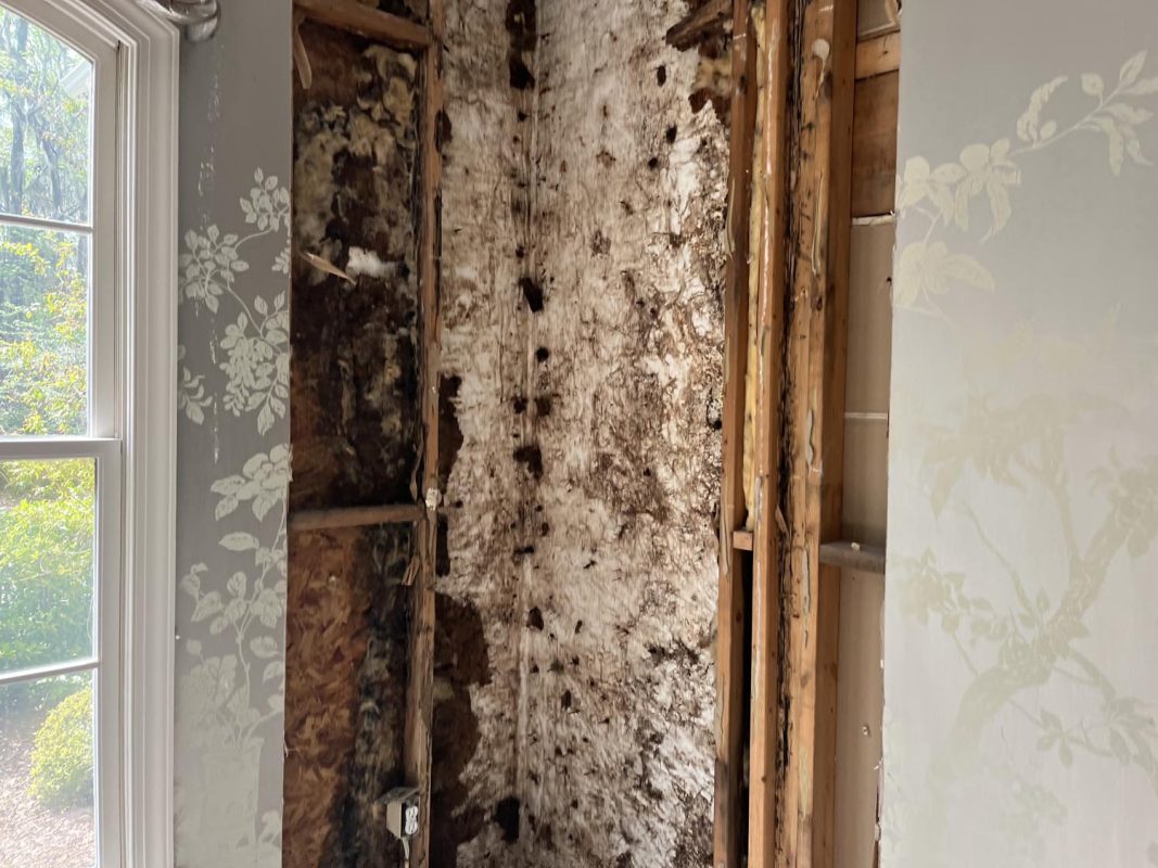 Harper Special Services