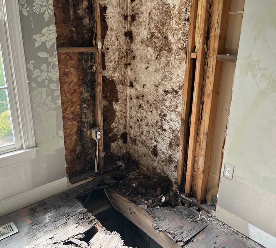 Harper Special Services