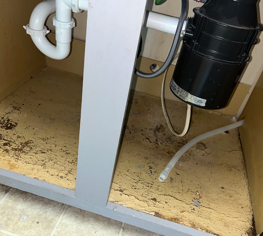 Harper Special Services