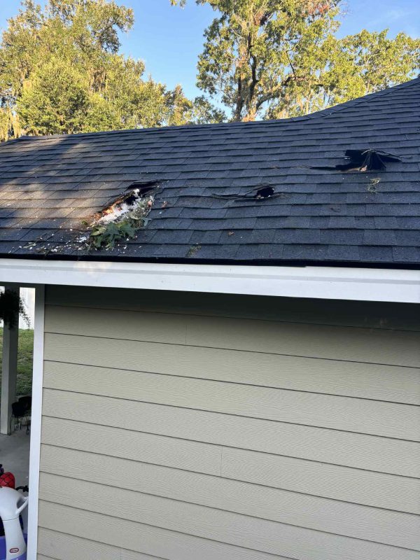 Harper Special Services