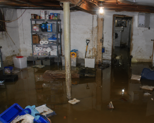 basement water damage cleanup Savannah GA